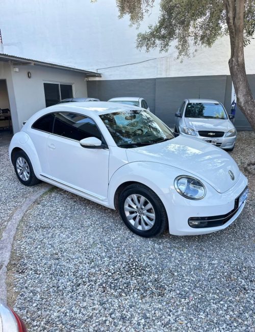 WhatsApp Image 2025-10-15 at 10.05.25 AM (2)