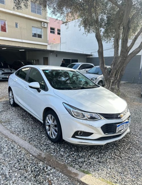 WhatsApp Image 2025-10-15 at 10.16.16 AM